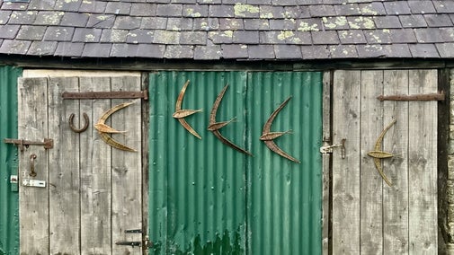 Willow swifts displayed on a wall
